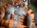 tigercum.jpg
